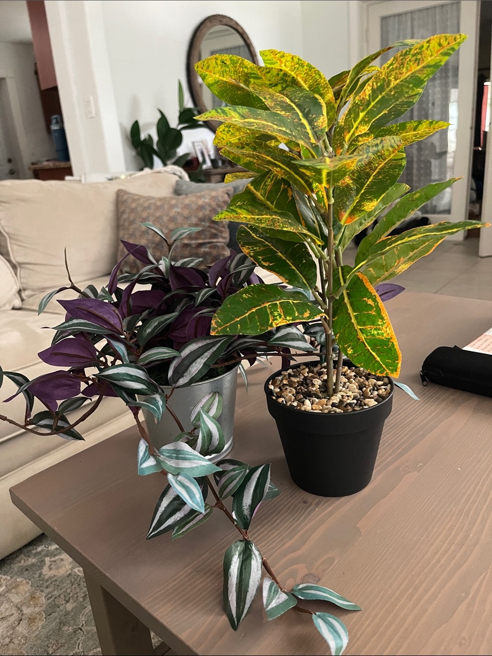 Artificial Croton and Wandering Tradescantia Plant Set - Green, Yellow, Purple
